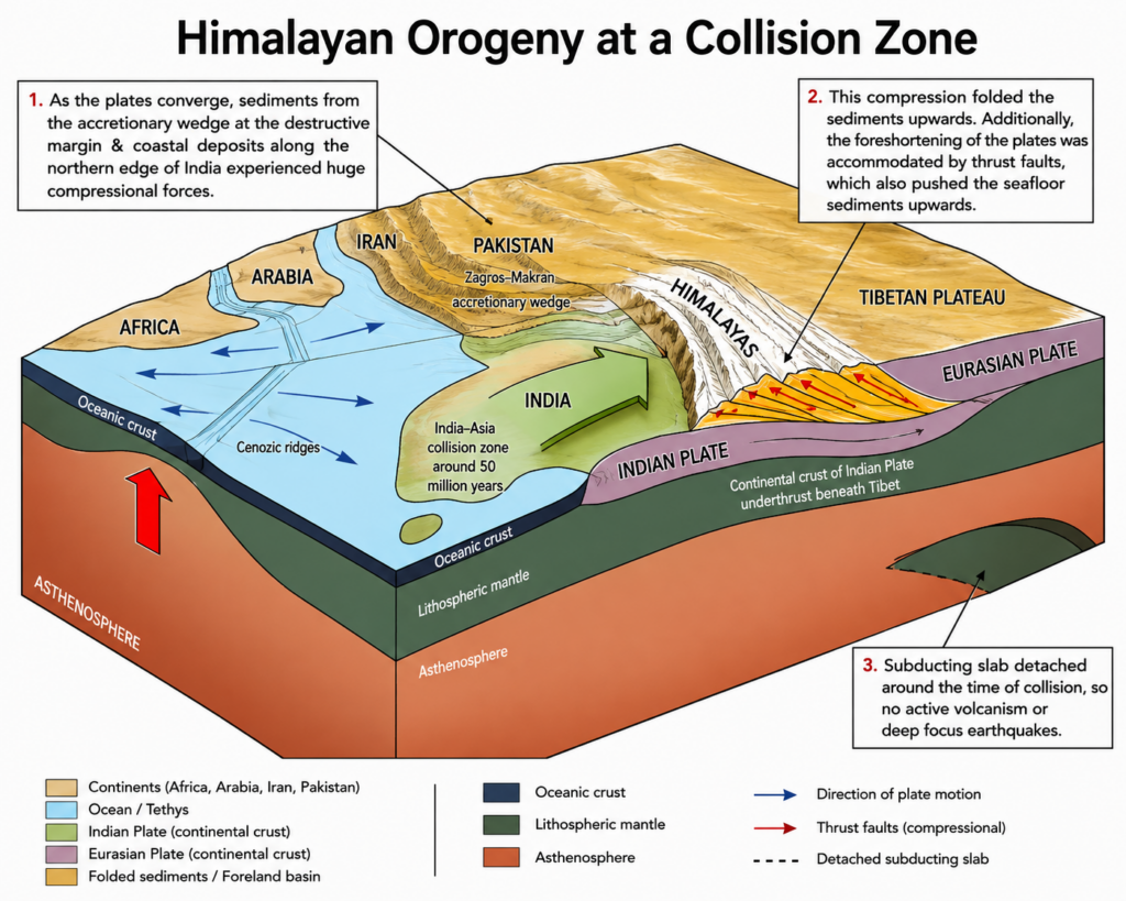 Himalayan Orogeny Collision Diagram