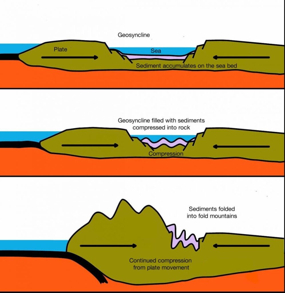 How are Fold mountains formed?