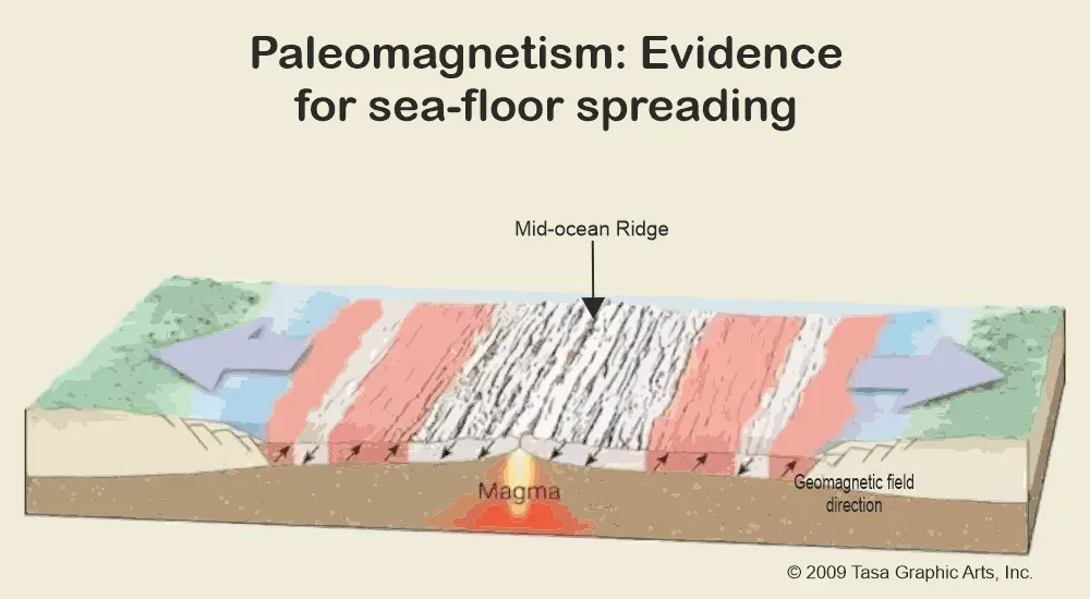 Paleomagnetism