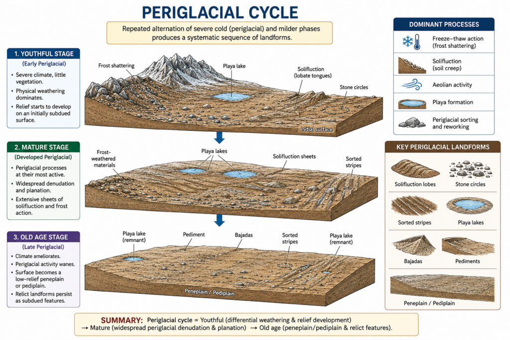 Periglacial Cycle Educational Infographic