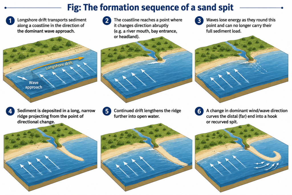 The formation sequence of a sand spit