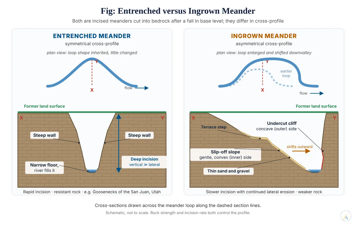 Cross-sections comparing a symmetrical entrenched meander gorge with an asymmetrical ingrown meander showing a slip-off slope and undercut cliff.