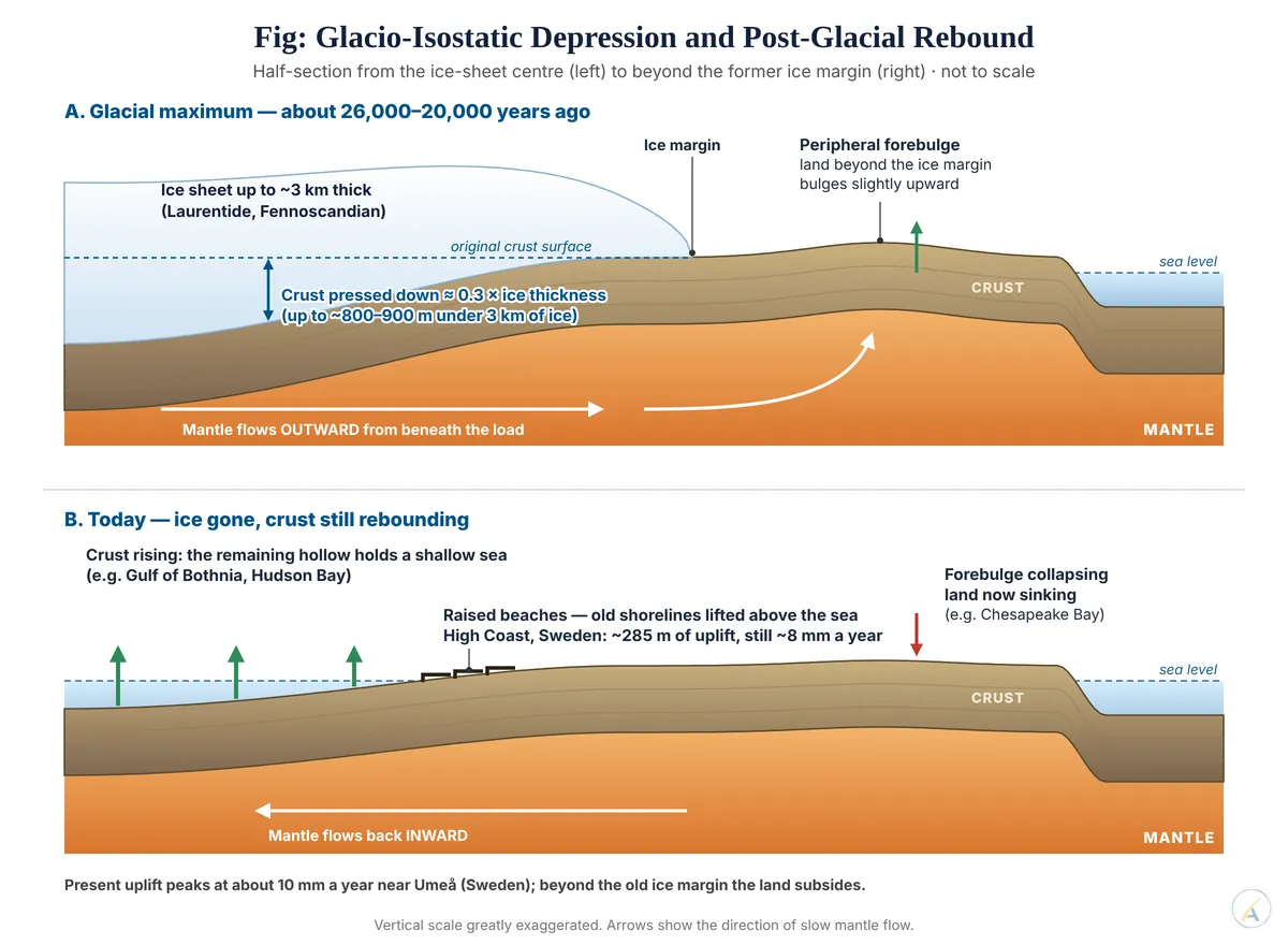 Two cross-sections: an ice sheet depressing the crust with outward mantle flow and a forebulge, then rebound with raised beaches and a sinking forebulge.