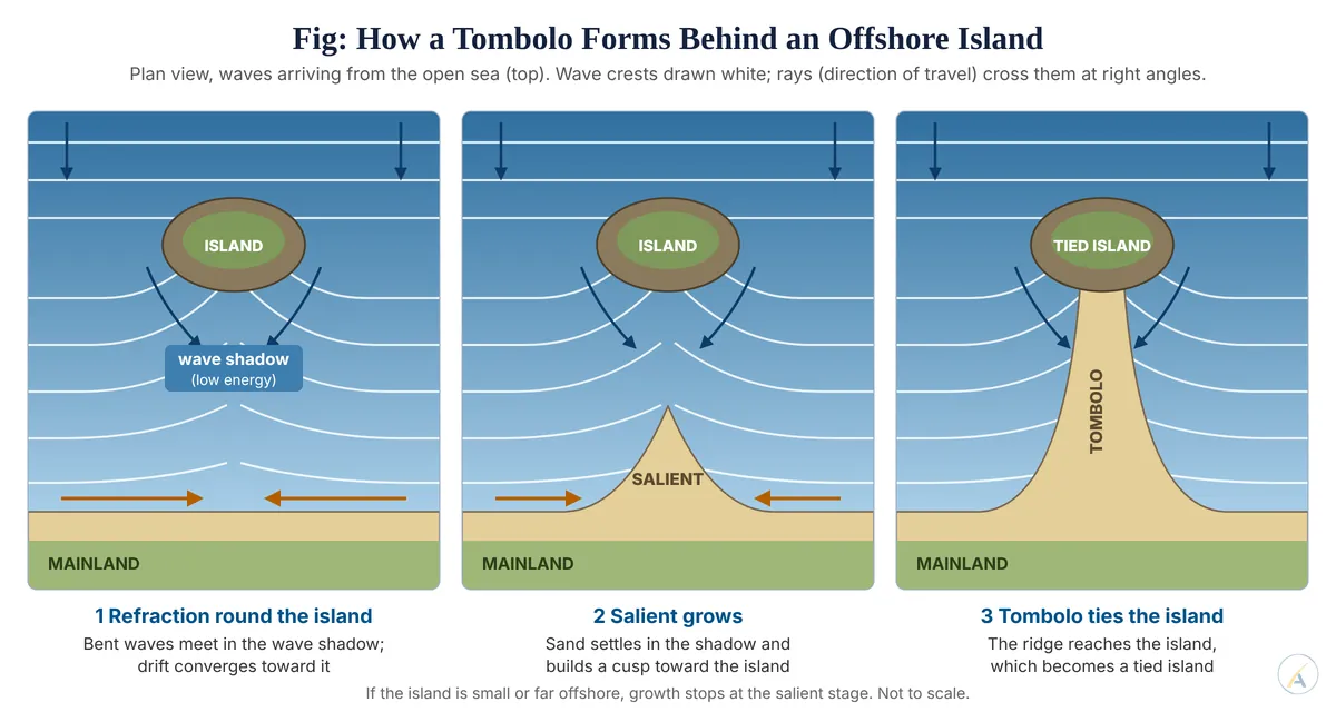 Three plan-view panels: waves refract round an offshore island, a salient grows in the wave shadow, and a tombolo ties the island to the mainland.