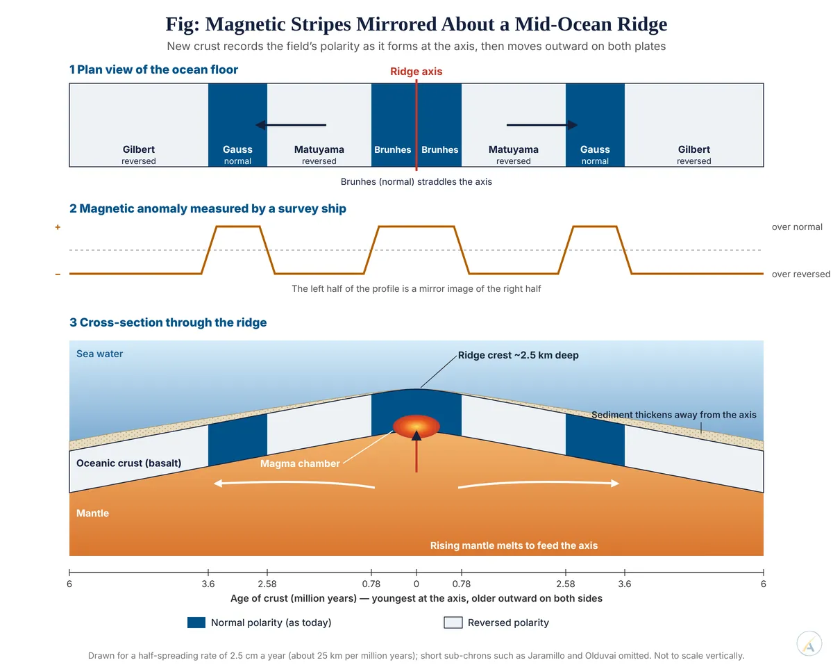 Plan view, magnetic anomaly profile and cross-section of a mid-ocean ridge showing mirror-image normal and reversed stripes with crust ages 0 to 6 million years.