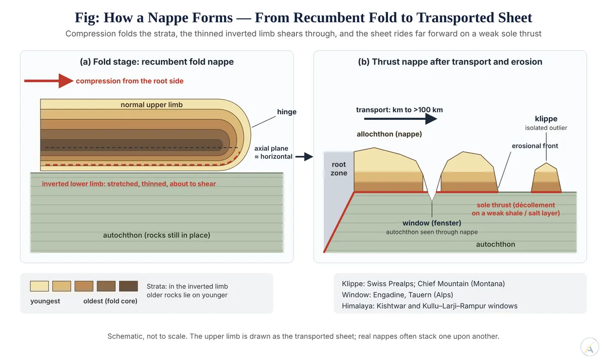 Two panels: a recumbent fold with inverted lower limb, then a thrust nappe on a sole thrust with root zone, window and klippe.