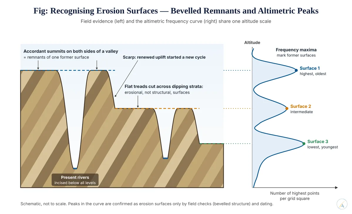 Cross-section of flat treads bevelling dipping strata at three levels, aligned with an altimetric frequency curve whose three peaks mark the erosion surfaces.