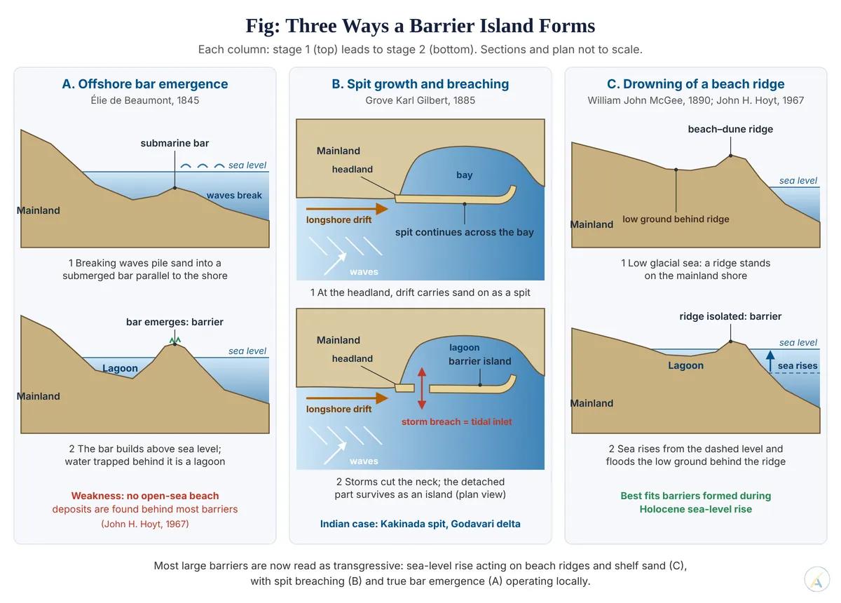 Three-panel diagram showing barrier islands forming by offshore bar emergence, spit growth and breaching, and drowning of a beach ridge by rising sea level.