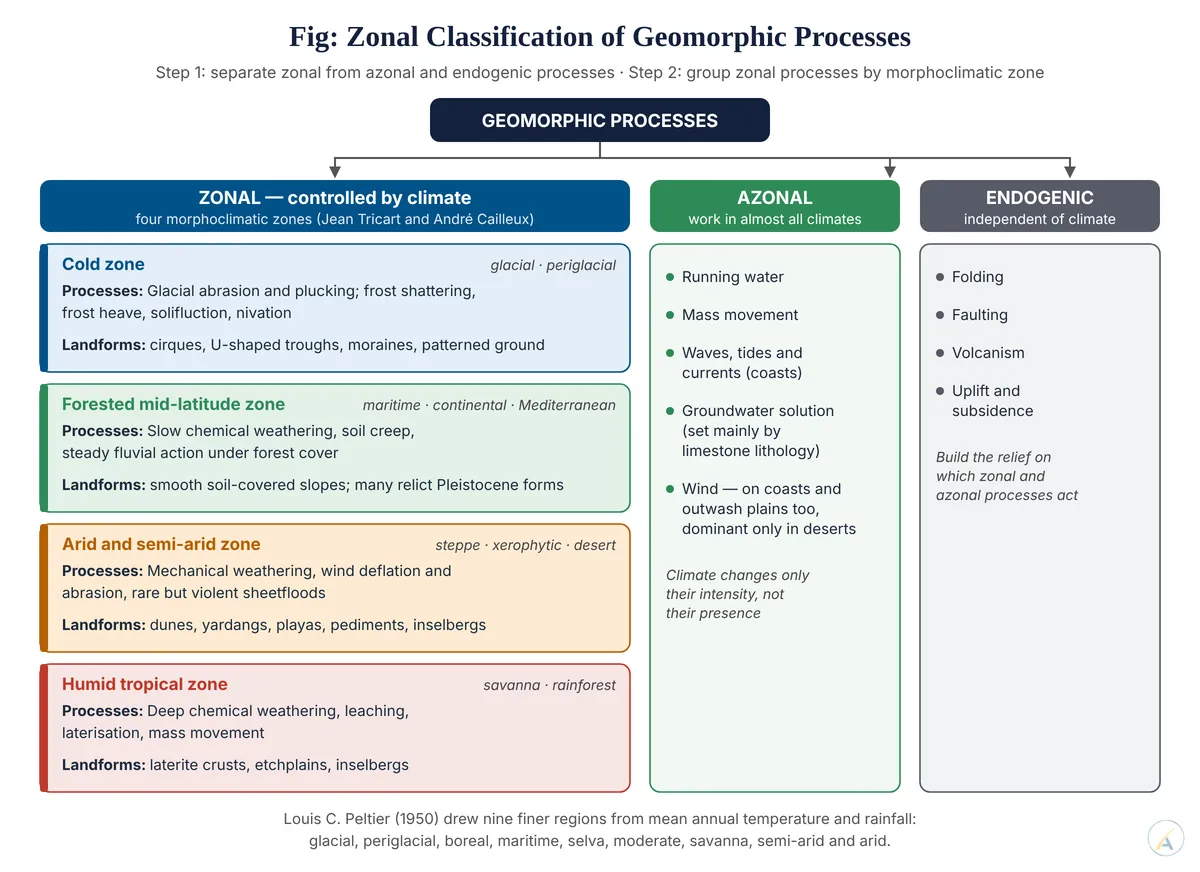 Chart dividing geomorphic processes into zonal processes by four morphoclimatic zones, azonal processes and endogenic processes.