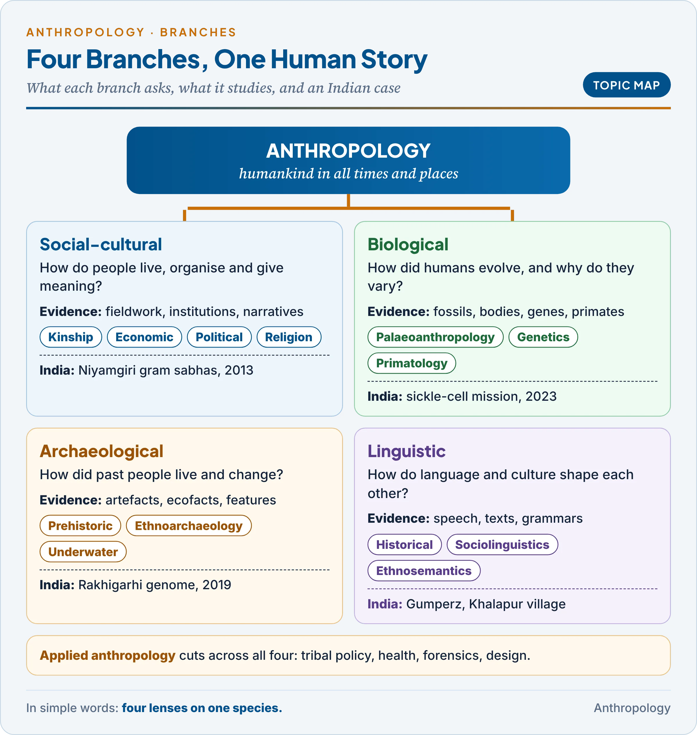 Topic map: the four fields of anthropology, each with its core question, evidence, sub-fields and an Indian example