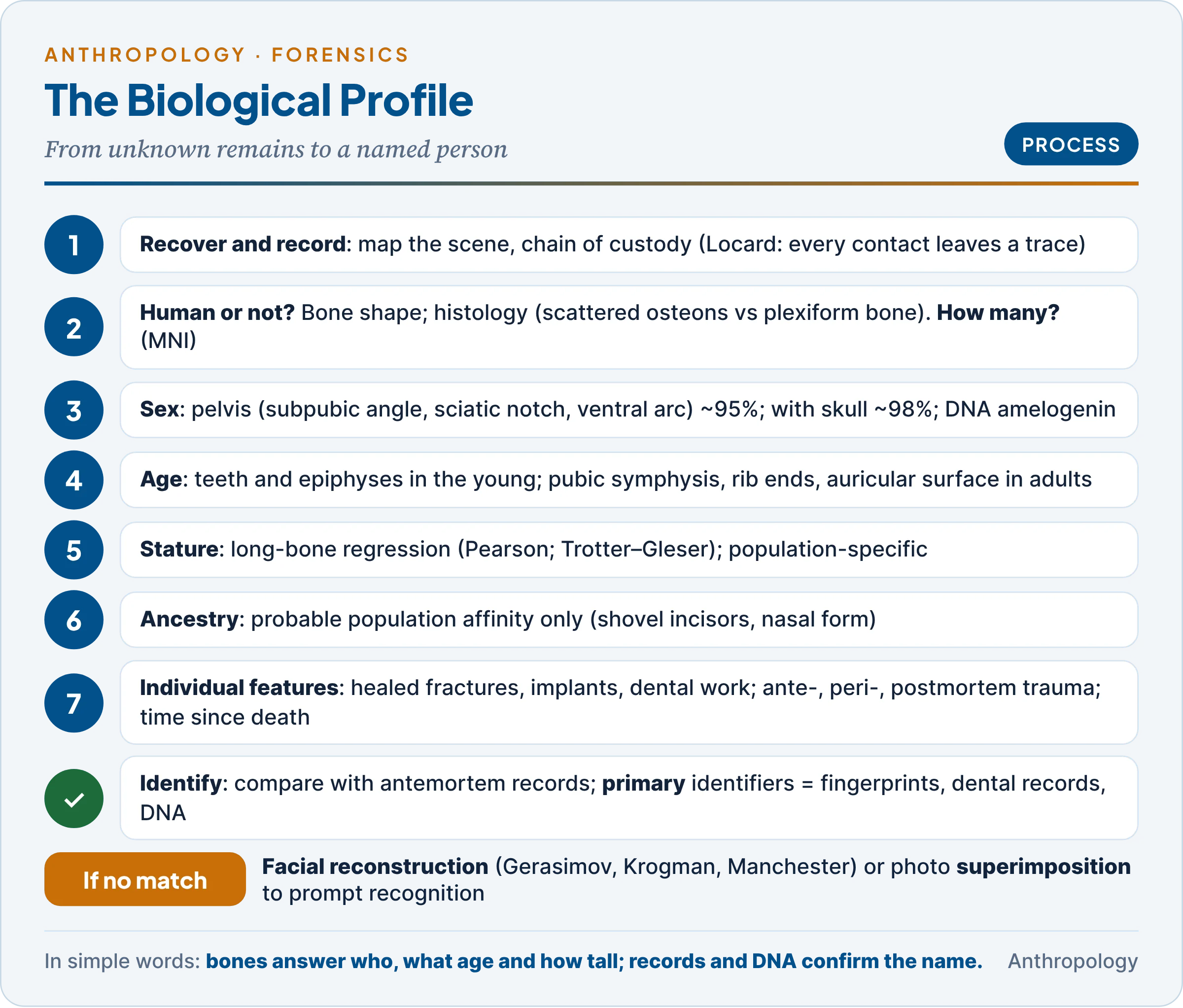 The forensic biological profile: from recovery and the human-or-not question through sex, age, stature and ancestry to individual features, trauma, time since death and identification by comparison and DNA