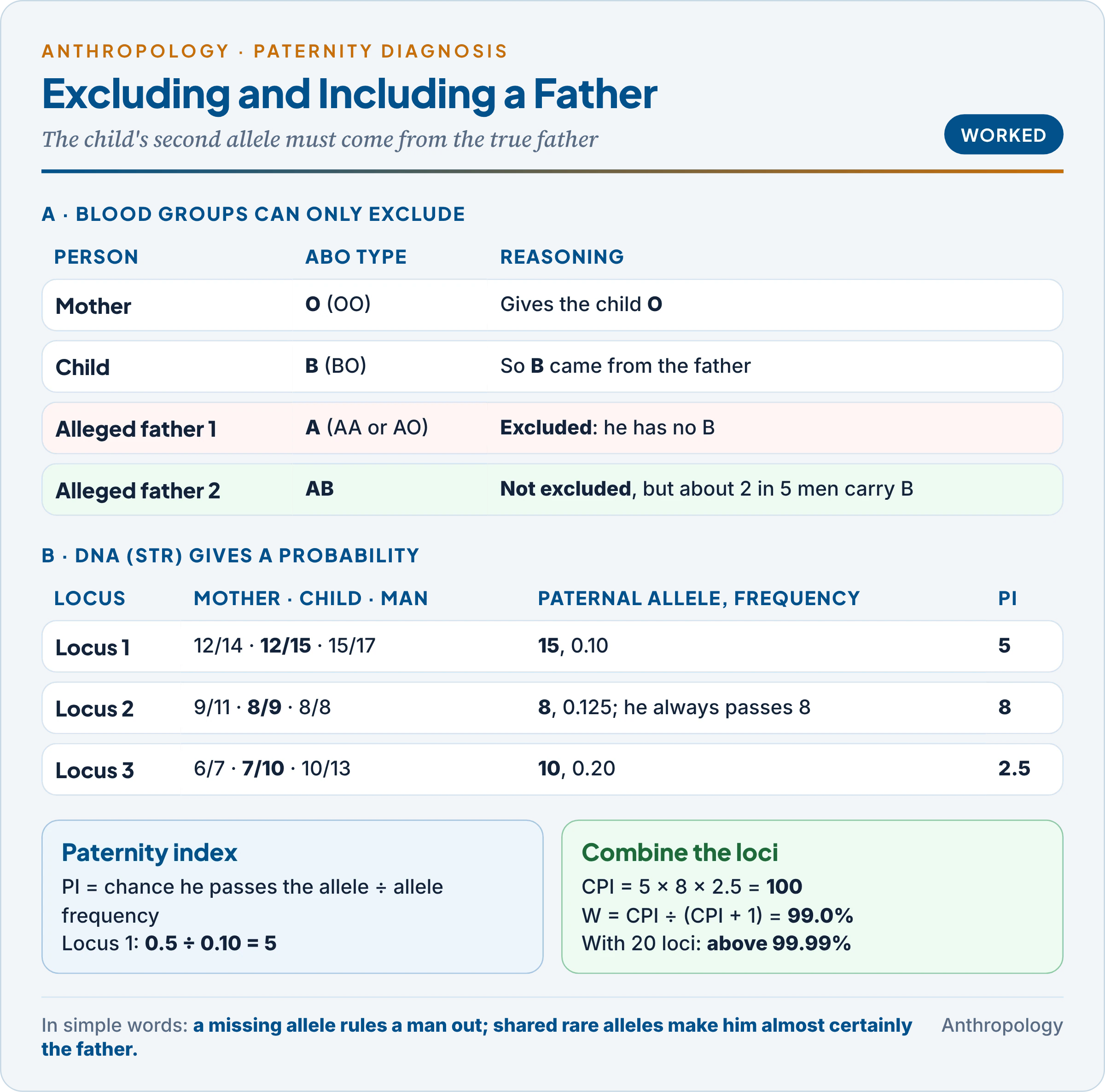Paternity diagnosis in two methods: ABO blood-group exclusion with mother O, child B and alleged fathers A (excluded) and AB (not excluded), and DNA STR testing at three loci with the obligate paternal allele, paternity index 0.5 divided by allele frequency, combined paternity index 100 and probability of paternity 99 per cent