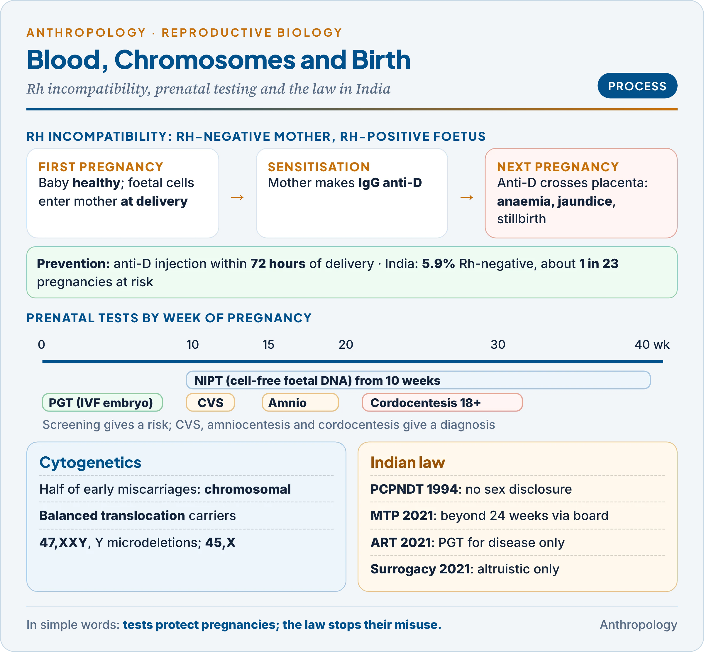 Serogenetics and cytogenetics in reproduction: Rh incompatibility in three stages from the first Rh-positive pregnancy and sensitisation at delivery to anti-D antibodies attacking the second foetus and its prevention by anti-D within 72 hours; a prenatal timeline of NIPT, CVS, amniocentesis and cordocentesis by week; and the Indian legal framework of the PCPNDT, MTP, ART and Surrogacy Acts