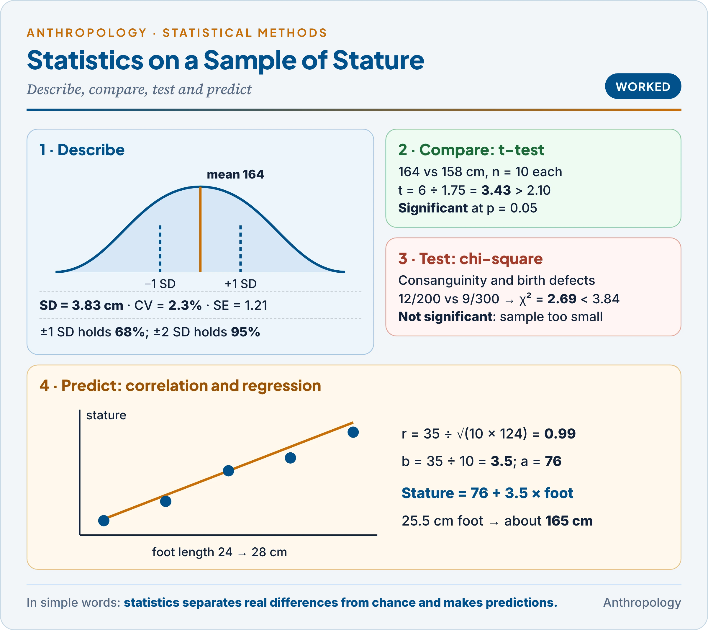 Statistical methods in anthropology worked on stature: mean 164 cm, standard deviation 3.83 and coefficient of variation 2.3 per cent on a bell curve; a t-test of 164 against 158 cm giving t 3.43, significant; a two-by-two chi-square on consanguinity and birth defects giving 2.69, not significant; and a regression line of stature on foot length with r 0.99 and stature = 76 + 3.5 × foot length
