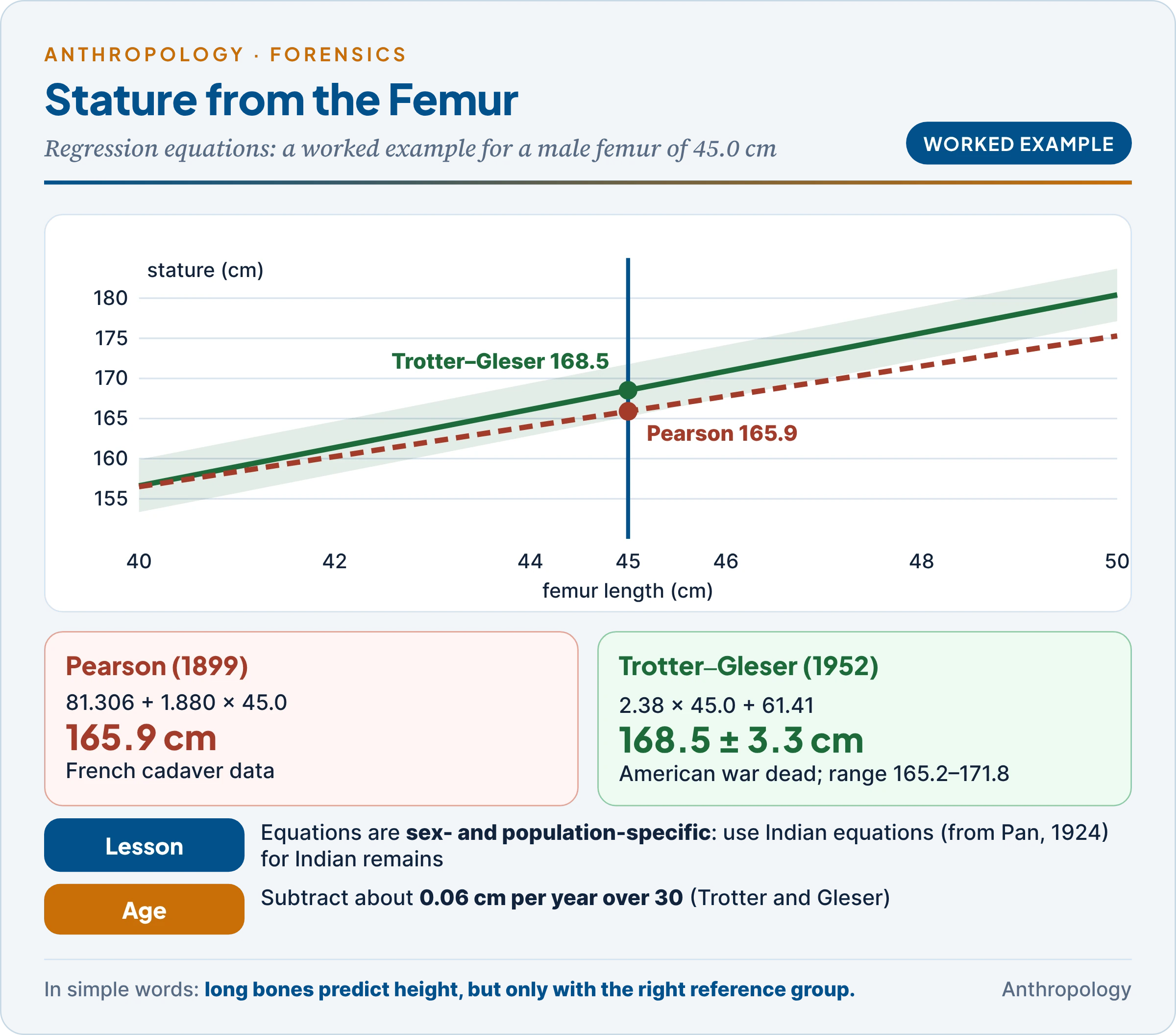 Stature from the femur: the regression principle, worked Pearson and Trotter–Gleser estimates for a 45 cm male femur, the standard error band, and why equations must be population-specific