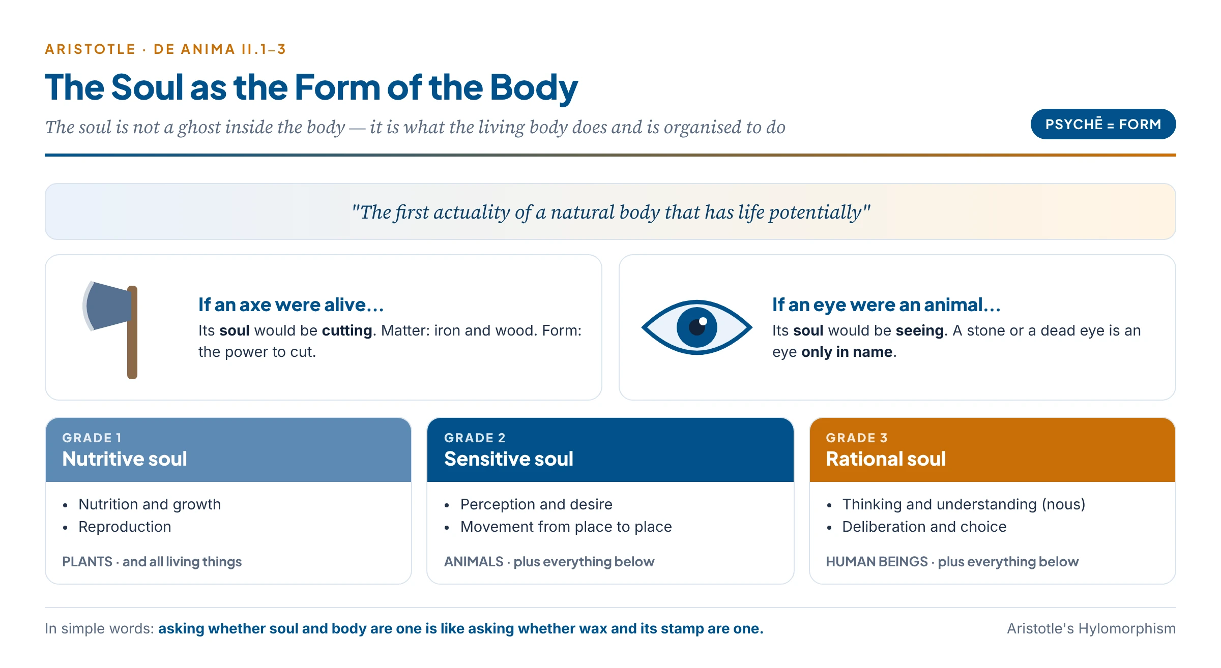 The soul as the form of the body: the axe and the eye analogies, and the three grades of soul from plants to animals to humans