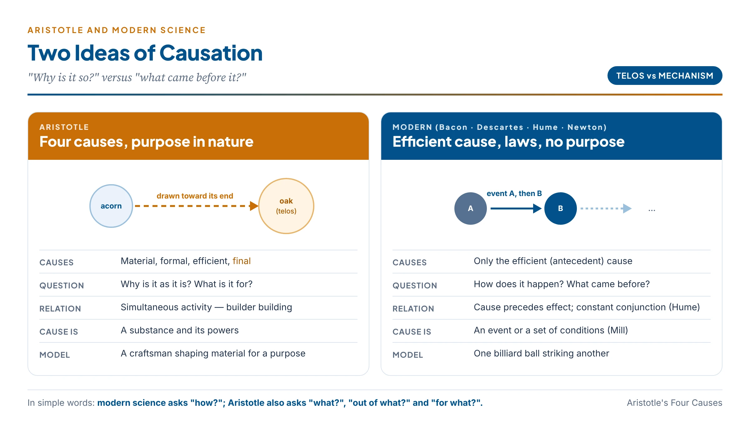 Aristotle's causation compared with the modern scientific notion: four causes versus efficient cause only, purpose versus mechanism, simultaneous activity versus antecedent event, natural kinds versus laws