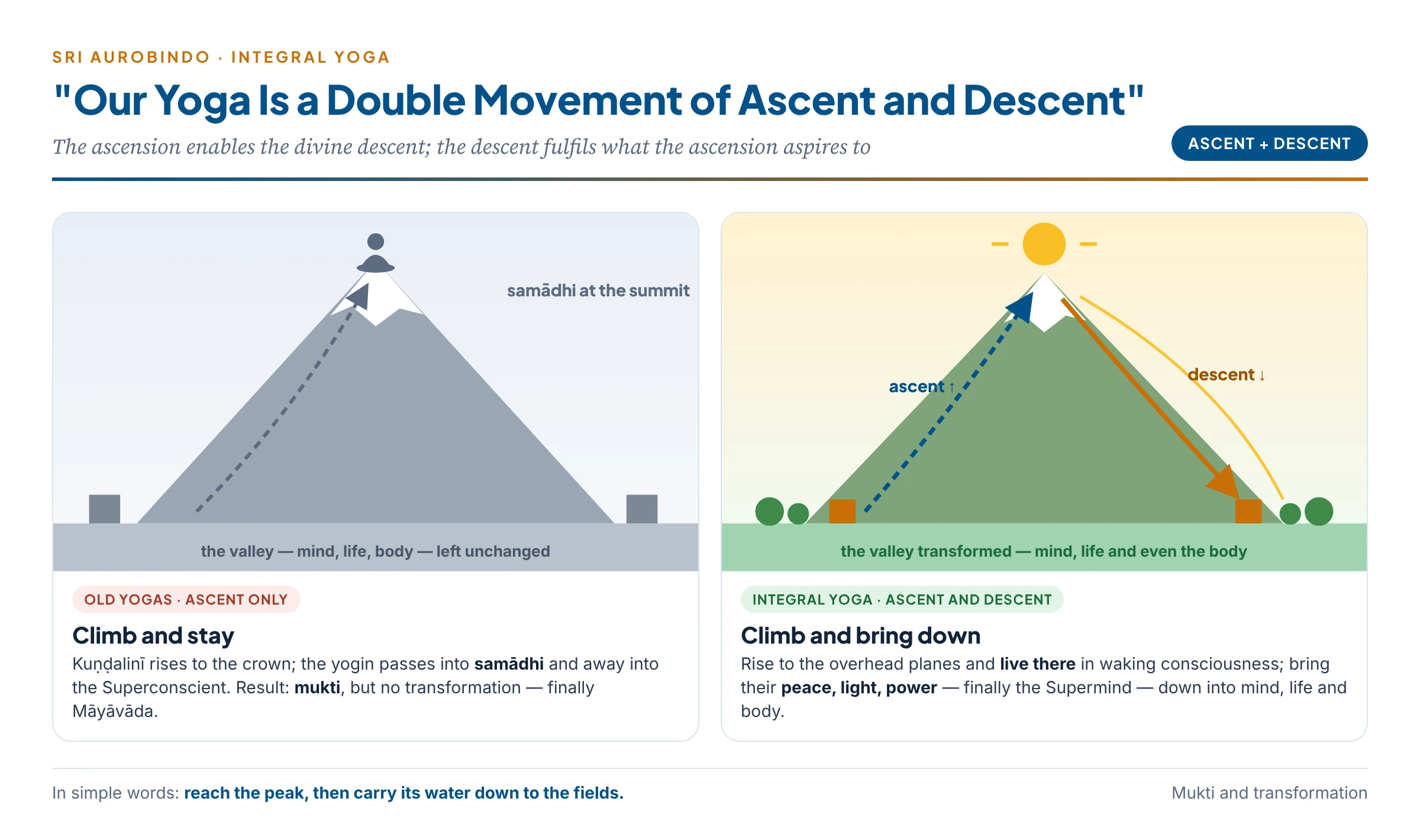 The double movement: old yogas climb to the summit and stay in samādhi; Integral Yoga climbs to the overhead planes and brings their light down into mind, life and body