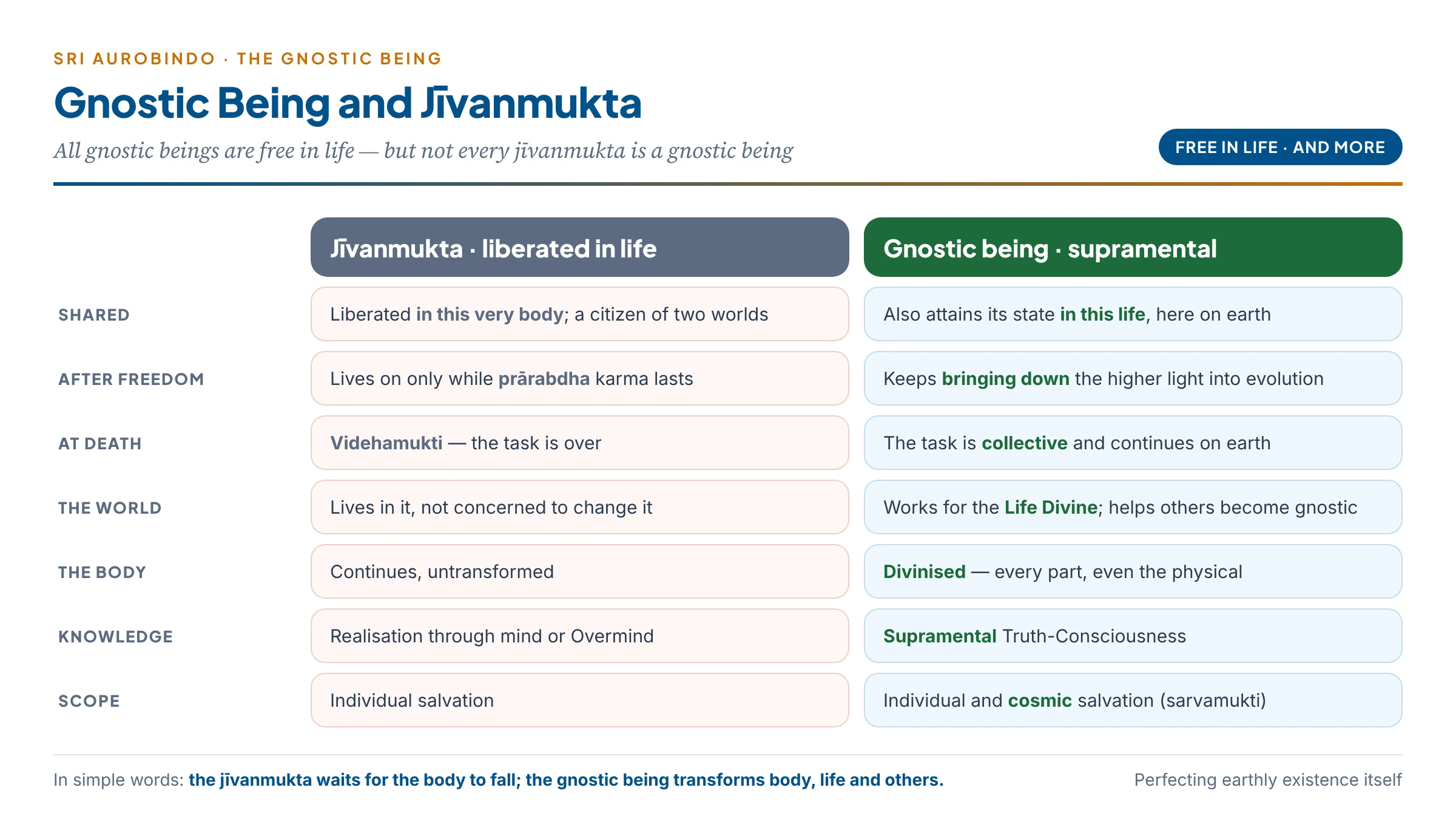 The gnostic being and the jīvanmukta compared: both free in the body, but the jīvanmukta waits for the body to fall while the gnostic being transforms body, life and others