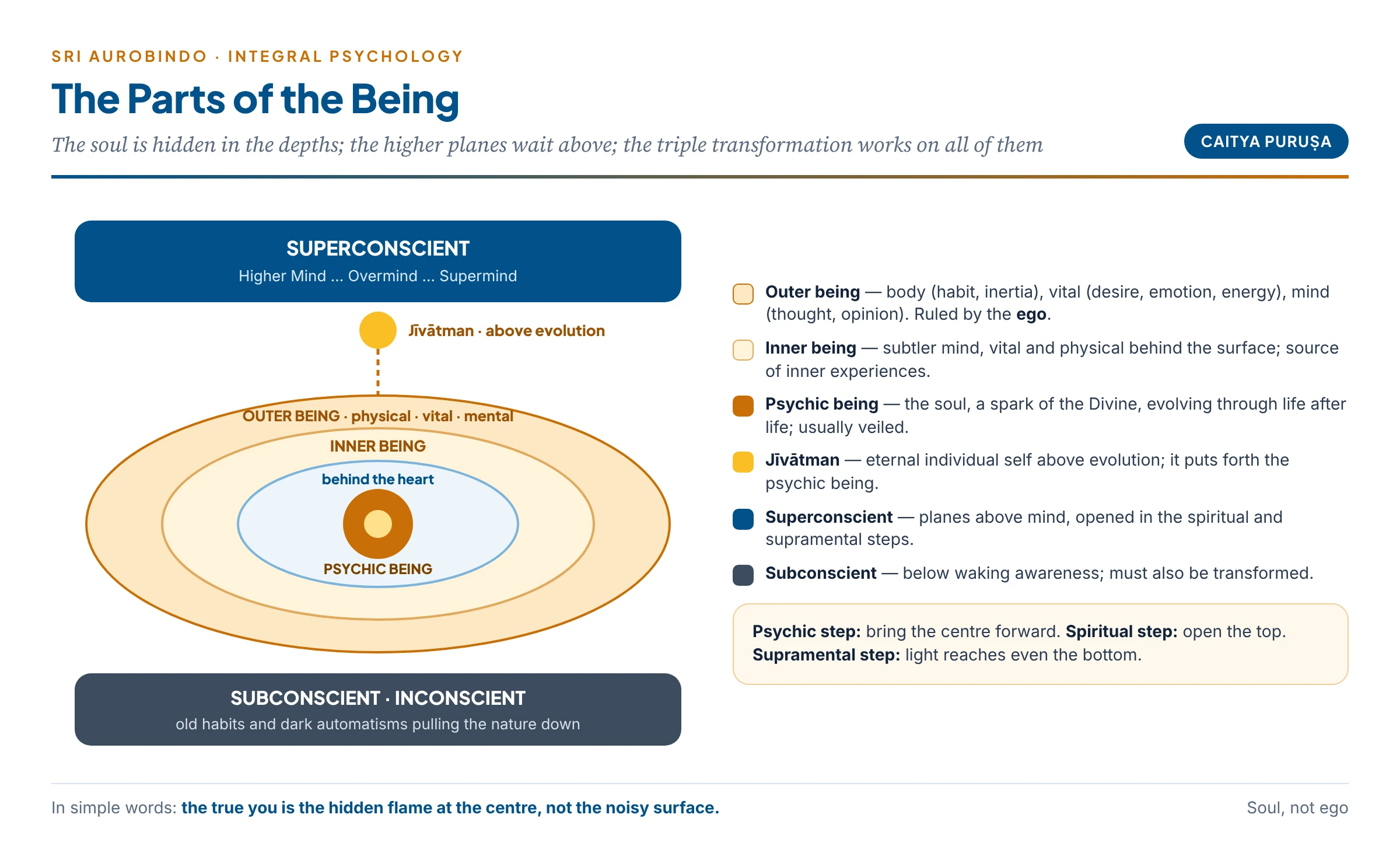 The parts of the being: the superconscient above, the jīvātman above evolution, the outer being of body, vital and mind, the inner being, the psychic being at the centre behind the heart, and the subconscient below