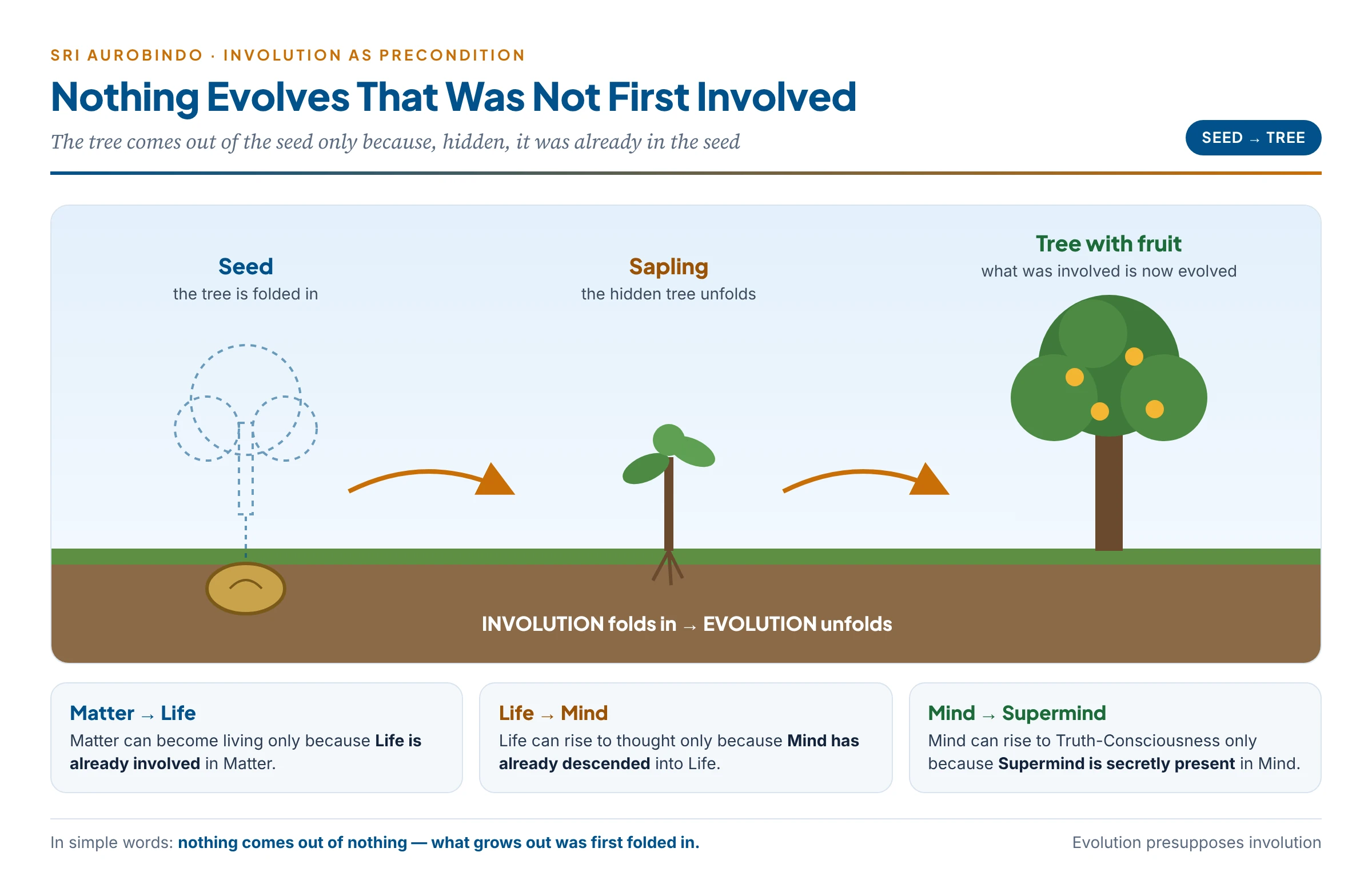 Nothing evolves that was not first involved: a seed with the whole tree hidden inside it, a sapling unfolding, and the grown tree, set against Matter, Life, Mind and Supermind