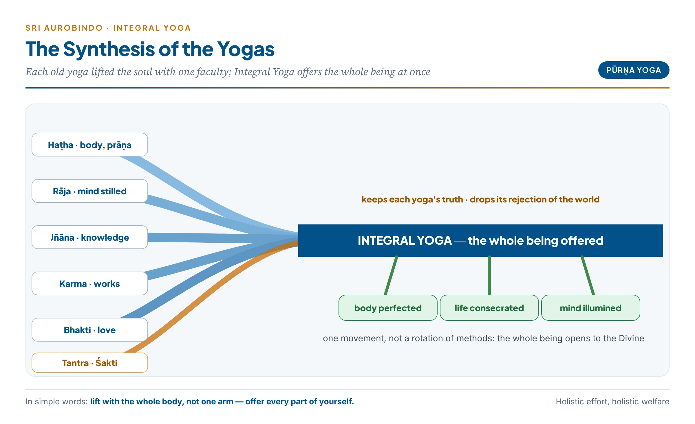The synthesis of the yogas: streams of Haṭha, Rāja, Jñāna, Karma, Bhakti and Tantra flowing into one river of Integral Yoga that irrigates body, life and mind