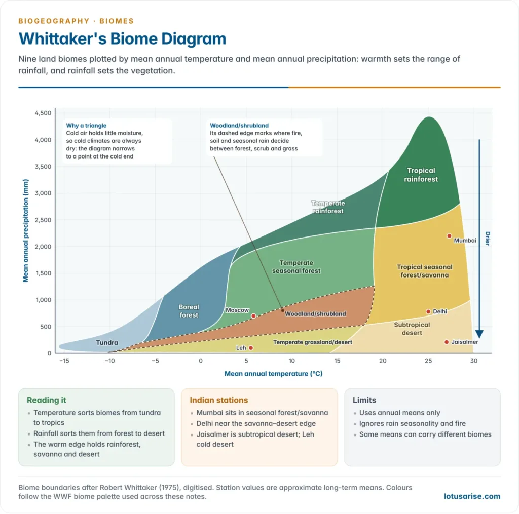 Whittaker's biome diagram plotting mean annual temperature against mean annual precipitation, with fields for tundra, boreal forest, temperate grassland and desert, woodland and shrubland, temperate seasonal forest, temperate rainforest, tropical rainforest, tropical seasonal forest and savanna, and subtropical desert