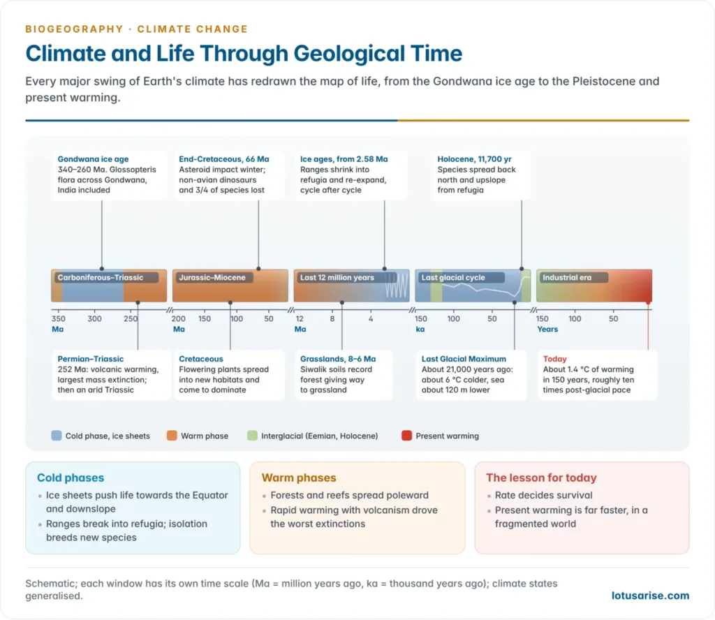 Timeline of Earth's climate and life from the Carboniferous–Permian glaciation of Gondwana to present warming, marking the Glossopteris flora, the end-Permian and end-Cretaceous extinctions, the spread of grasslands, the Pleistocene ice ages and today's warming