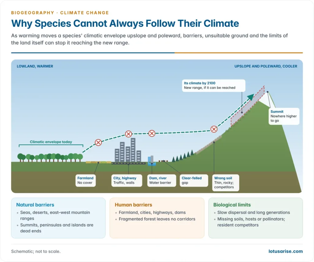 Landscape cross-section showing a species trying to shift its range poleward and upslope and meeting barriers: farmland, a city and highway, a river, a gap in forest cover, an unsuitable soil and a mountain summit with no further habitat