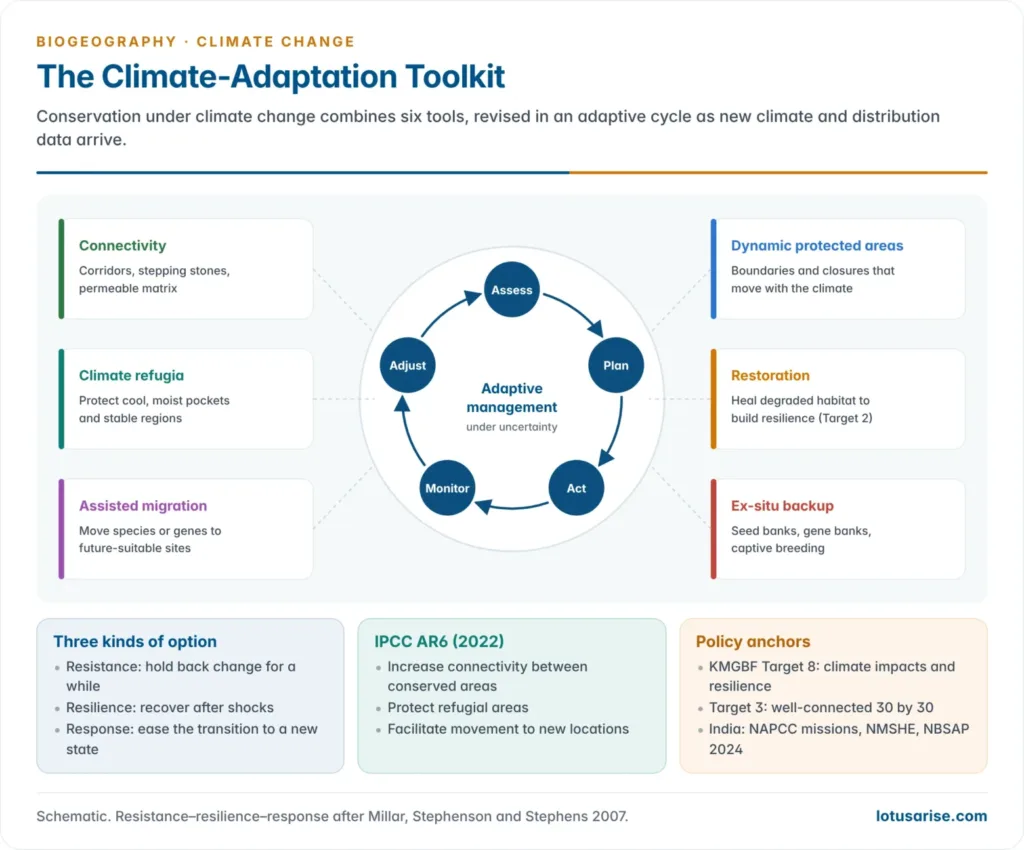 Climate-adaptation toolkit for conservation arranged around an adaptive management cycle of assess, plan, act, monitor and adjust, with connectivity, refugia, assisted migration, dynamic protected areas, restoration and ex-situ backup