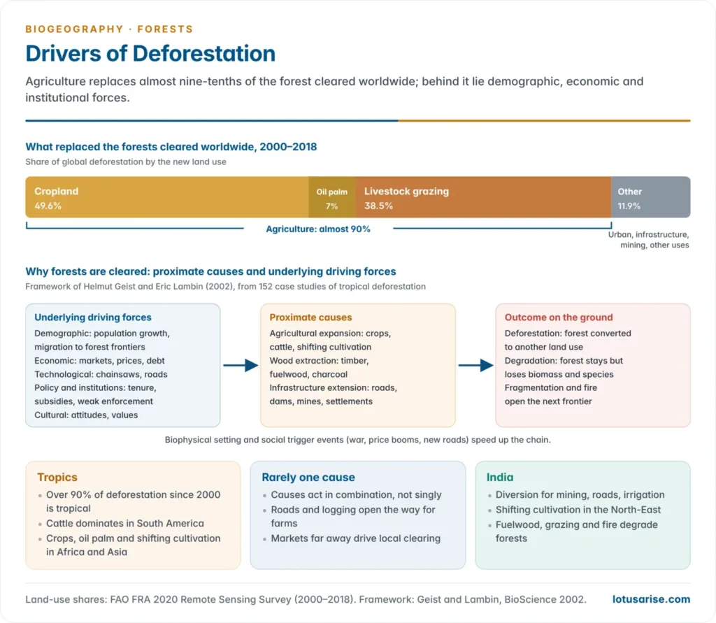 Stacked bar showing that cropland, including oil palm, and livestock grazing replaced almost 90 percent of forest cleared worldwide between 2000 and 2018, with a flow from underlying driving forces to proximate causes to deforestation and degradation