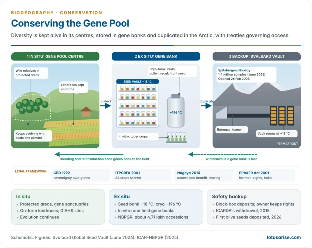 Conservation pipeline for crop genetic resources: in-situ conservation in gene pool centres, ex-situ gene banks at minus 18 and minus 196 degrees Celsius, and safety duplication in the Svalbard Global Seed Vault, under the ITPGRFA, Nagoya Protocol and PPV&FR Act