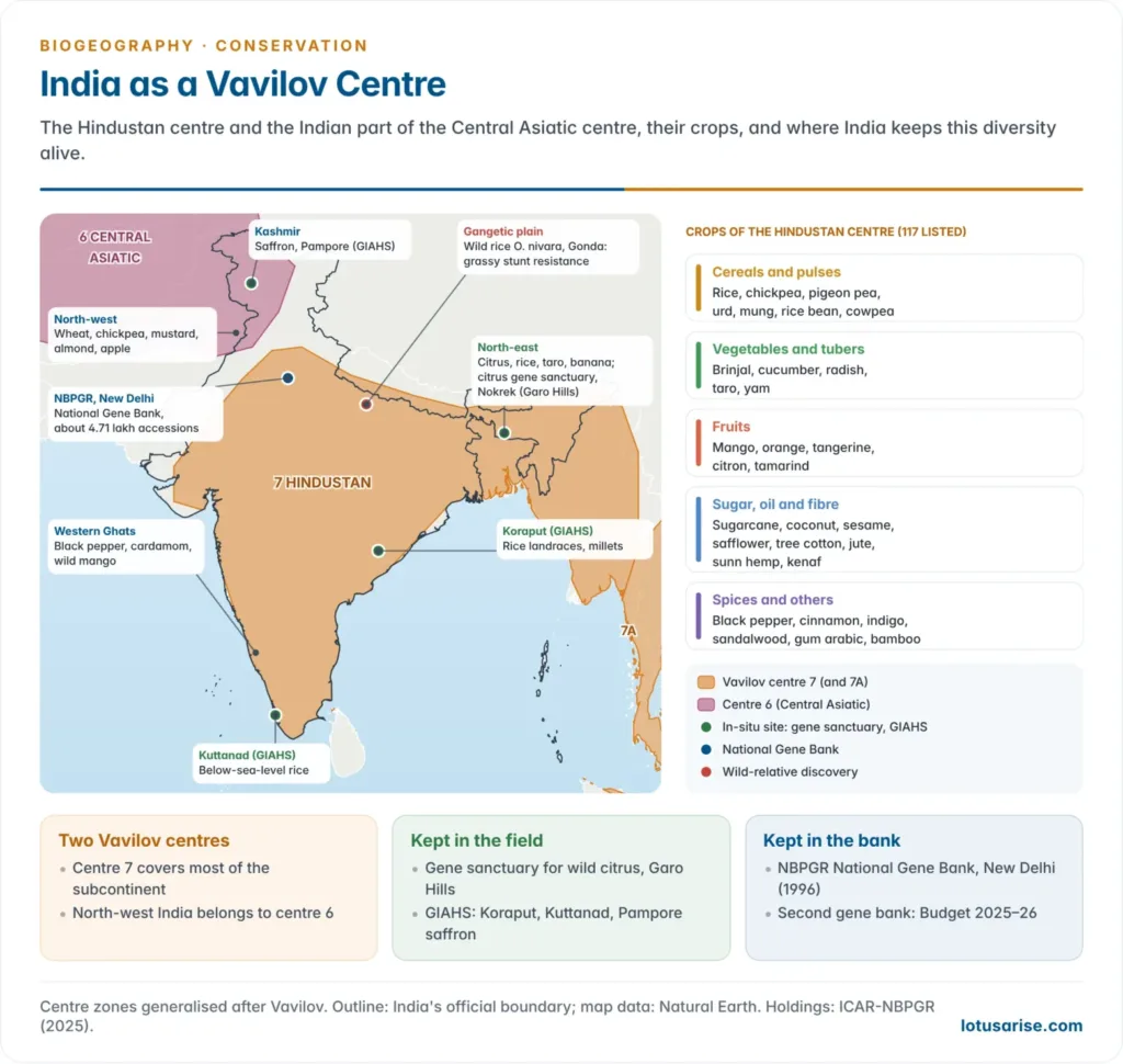 Map of the Indian subcontinent showing Vavilov's Hindustan centre and the Indian part of the Central Asiatic centre, with representative crops of each, the Garo Hills citrus gene sanctuary, the Koraput and Kuttanad heritage farming systems and the National Gene Bank in New Delhi