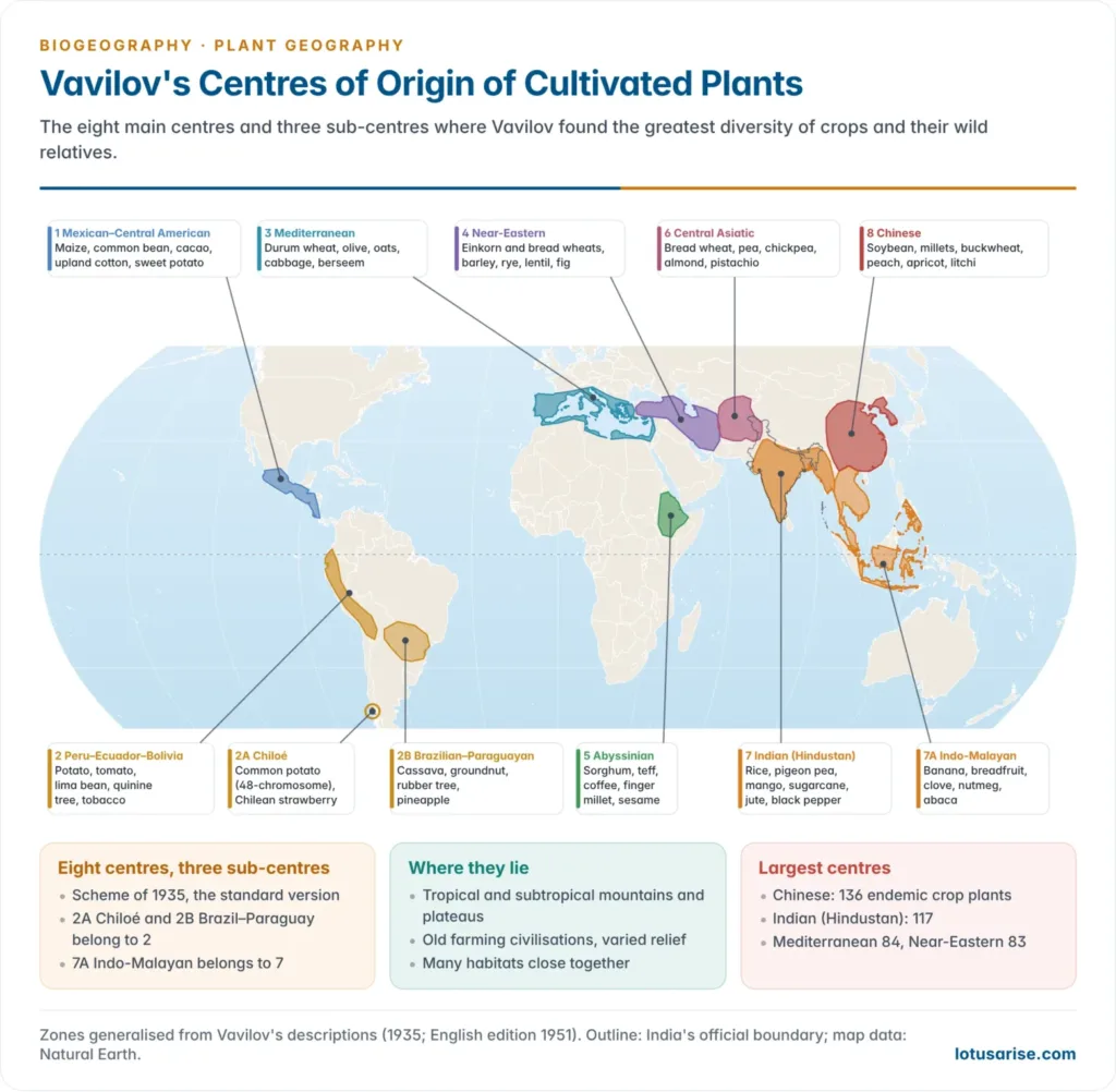 World map of Vavilov's eight centres of origin of cultivated plants with the Chiloé, Brazilian–Paraguayan and Indo-Malayan sub-centres, labelled with representative crops of each centre