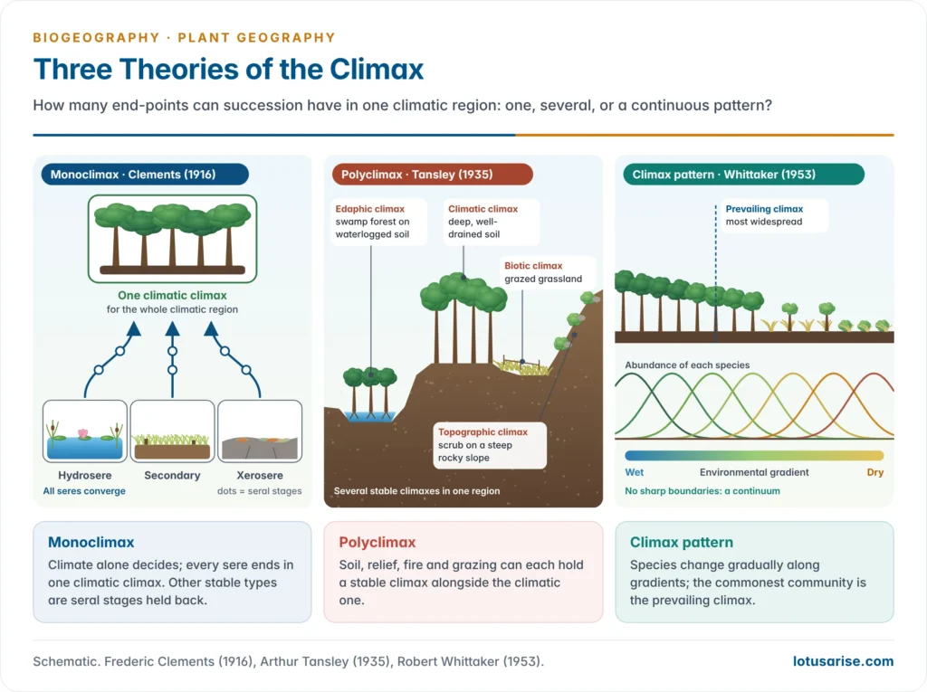 Three panels comparing climax theories: monoclimax with all seres converging on one climatic climax, polyclimax with separate climatic, edaphic and topographic climaxes, and the climax pattern with communities grading along a moisture gradient