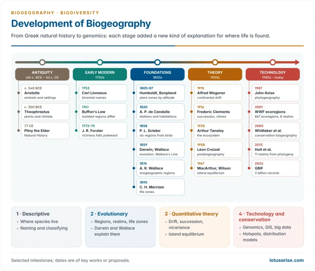 Timeline of biogeography from Aristotle and Theophrastus through Linnaeus, Buffon, Humboldt, de Candolle, Sclater, Darwin, Wallace and Merriam to Clements, Wegener, MacArthur and Wilson and modern phylogeography and conservation biogeography