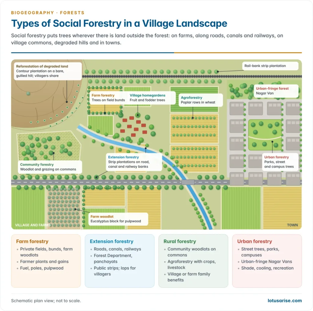 Plan view of an Indian village landscape showing farm forestry on field boundaries, agroforestry rows in fields, strip plantations along a road, canal and railway, a community woodlot on village commons, a reforested degraded hill and urban forestry in a nearby town
