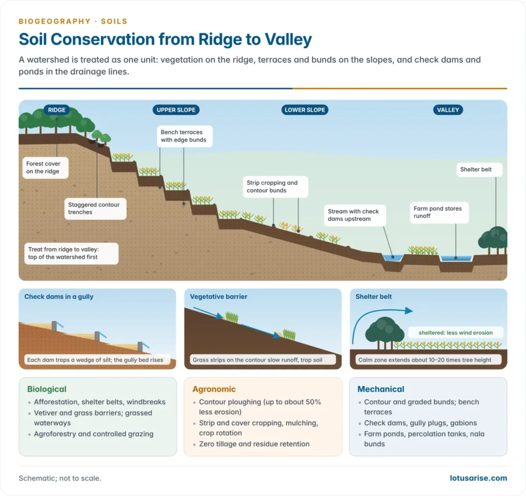 Hill-to-valley watershed landscape showing afforestation and contour trenches on the ridge, bench terraces and contour bunds on the slopes, check dams and gully plugs in the drainage line, a farm pond and a shelter belt on the plain