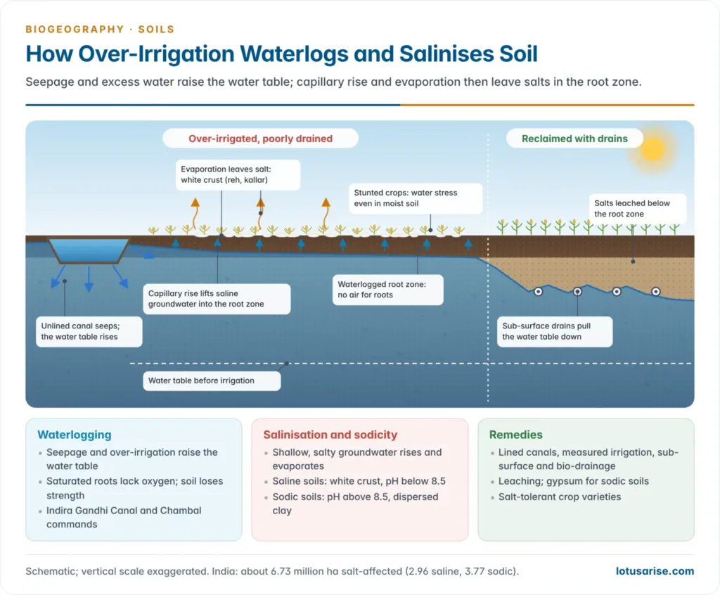 Cross-section of irrigated land beside a seeping canal, showing the water table rising into the root zone, capillary rise and evaporation leaving a white salt crust, and a sub-surface drain lowering the water table