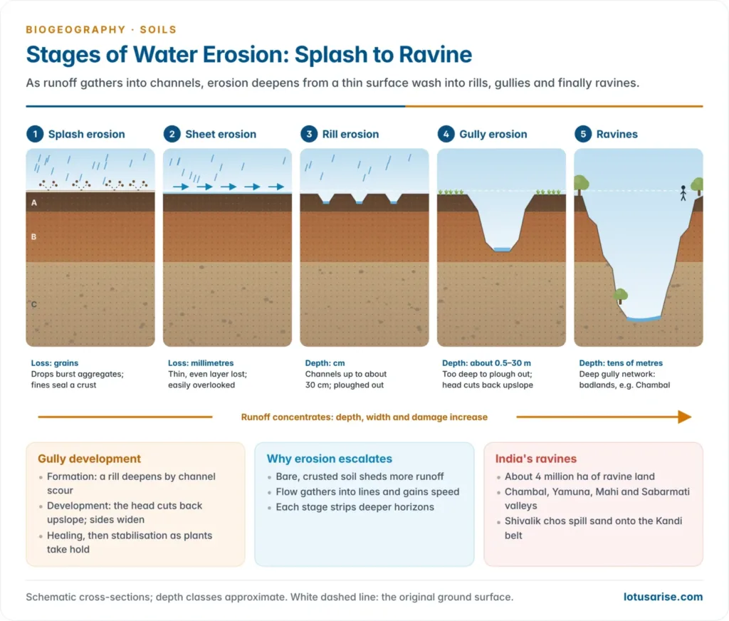 Progression of water erosion on a hillslope from raindrop splash and sheet wash to rills, a gully and deep ravines, with a cross-section of each stage showing increasing depth