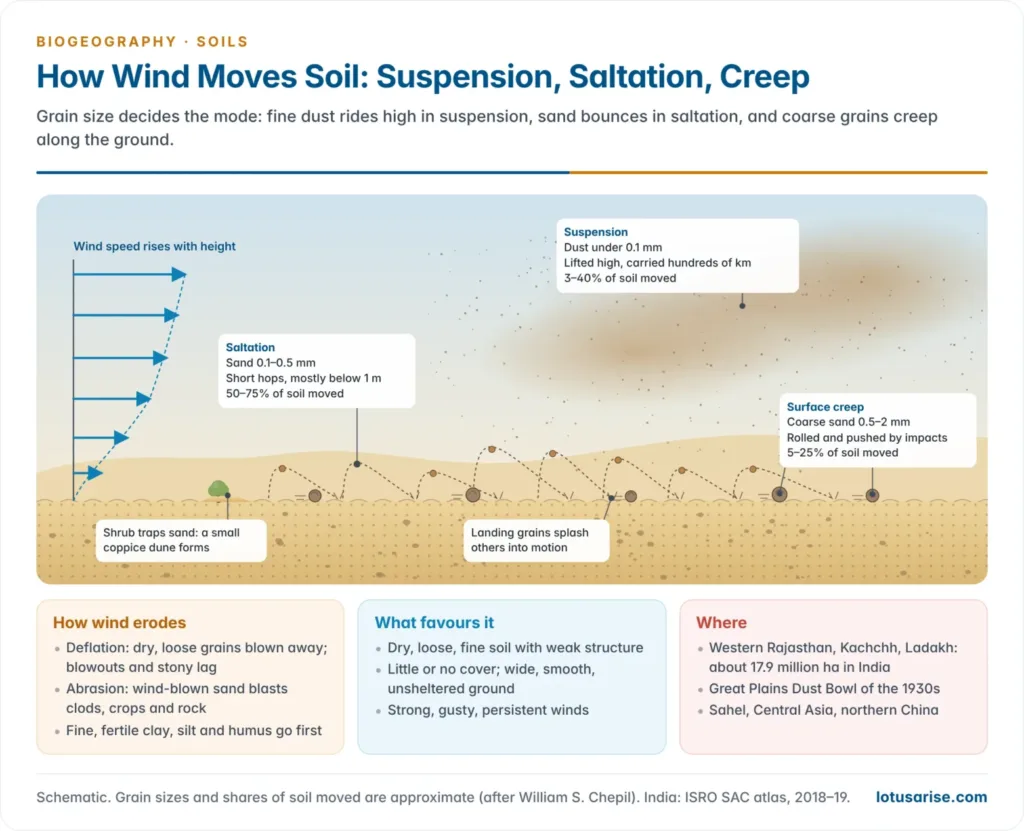 Wind blowing across a sandy surface showing fine dust carried in suspension, sand grains bouncing in saltation and coarse grains rolling in surface creep, with grain sizes and shares of soil moved
