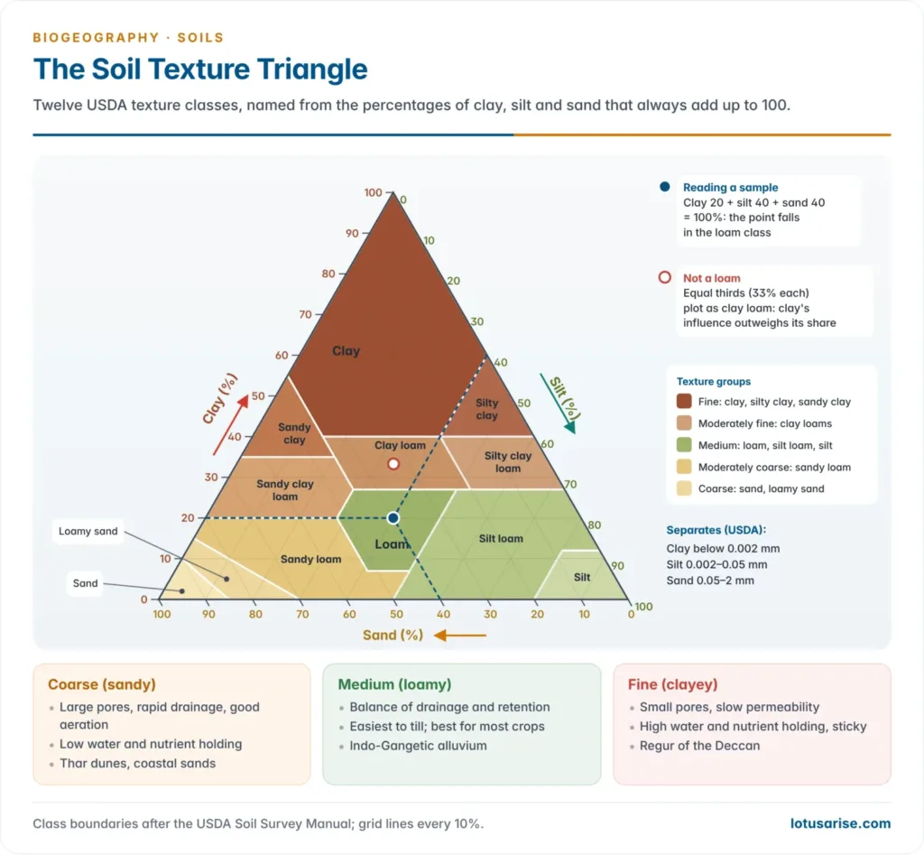 USDA soil texture triangle with clay on the left side, silt on the right side and sand along the base, divided into twelve textural classes, with a worked point for a loam of 40 per cent sand, 40 per cent silt and 20 per cent clay