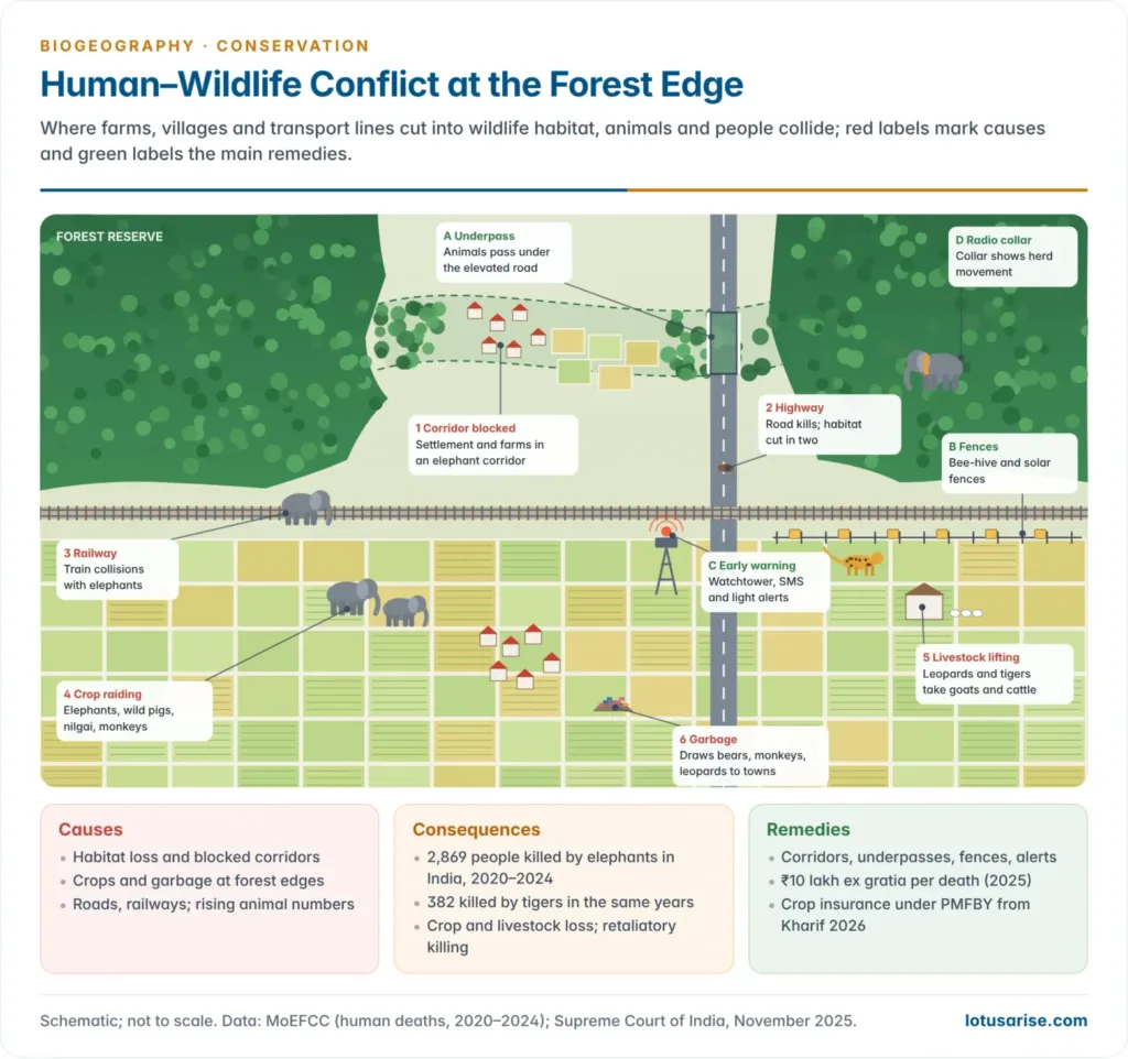 Forest-edge landscape showing the causes of human–wildlife conflict, a blocked elephant corridor, crop raiding, livestock lifting and highway kills, with remedies such as an underpass, bee-hive and solar fences, an early-warning tower and compensation