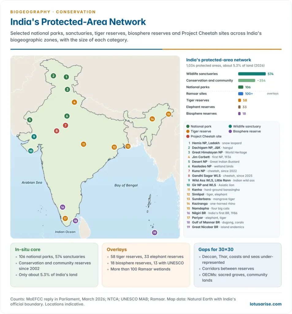 Map of India in its official outline with key national parks, wildlife sanctuaries, tiger reserves, biosphere reserves and Project Cheetah sites marked across the biogeographic zones, and bar charts of the number of each category of protected area