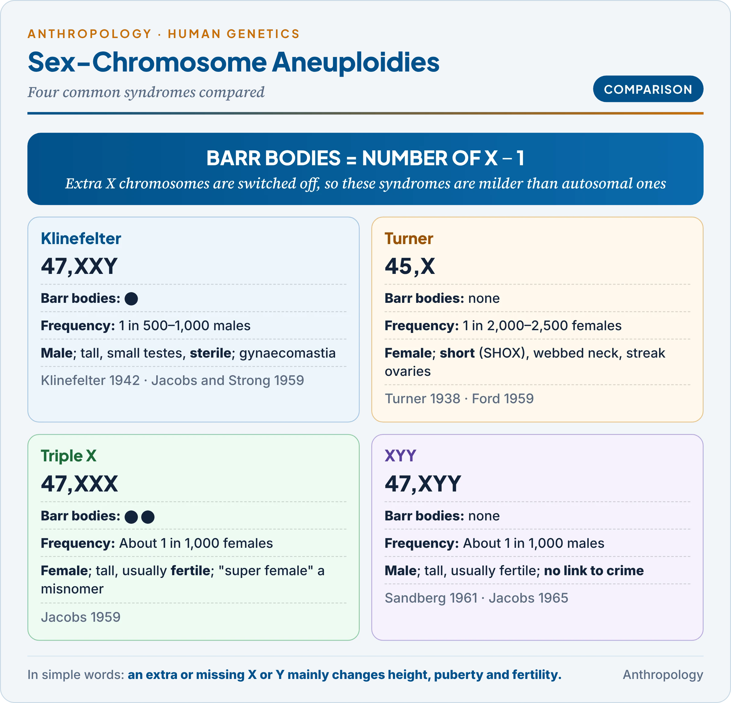 Sex-chromosome aneuploidies compared: Klinefelter, Turner, triple X and XYY with karyotype, Barr bodies, frequency and main features