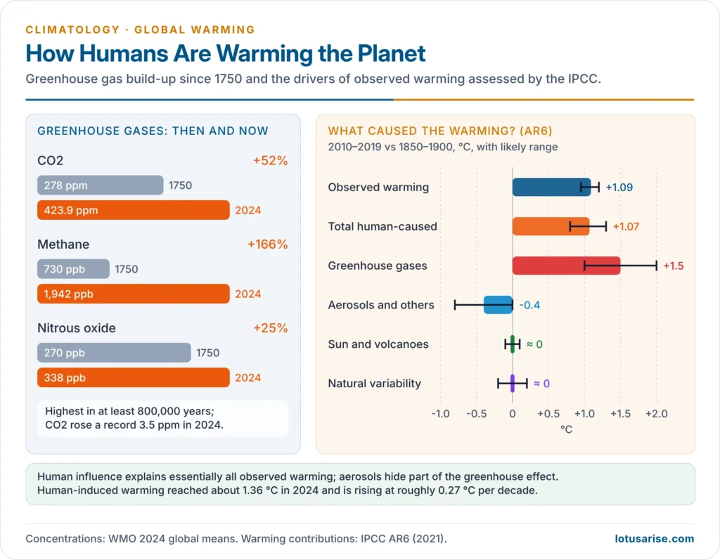 Greenhouse gas concentrations before industrialisation and in 2024, and the contributions of human and natural drivers to observed warming