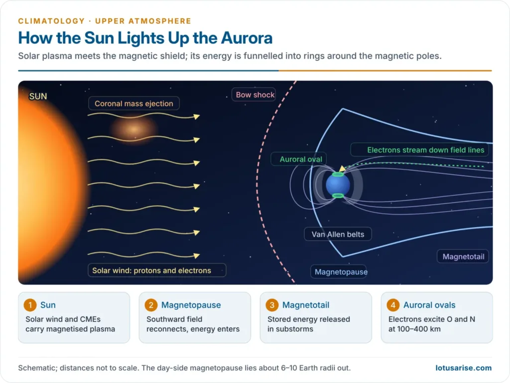 Sun–Earth connection: solar wind and coronal mass ejection, the magnetosphere with bow shock, magnetopause and magnetotail, and the auroral ovals