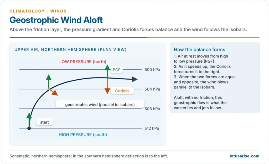Geostrophic wind aloft: balance of pressure gradient force and Coriolis force makes the wind blow parallel to the isobars
