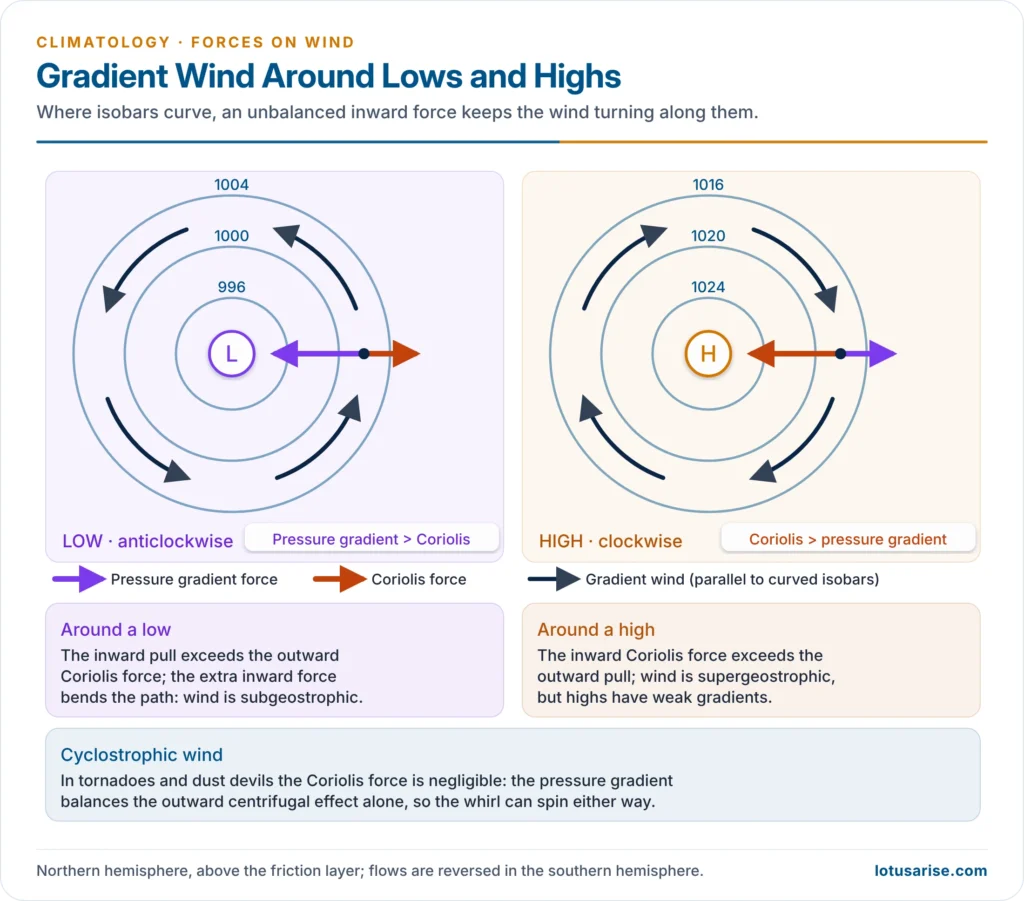 Gradient wind around a low and a high in the northern hemisphere with the balance of pressure gradient force, Coriolis force and centrifugal effect