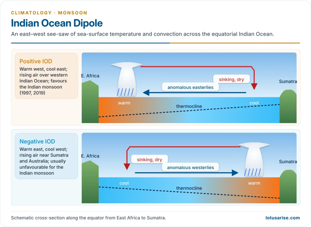 Positive and negative phases of the Indian Ocean Dipole and their effect on convection and the Indian monsoon